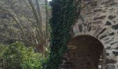 Trail Walking Collioure - 66 COLLIOURE, de Pradells aux consolations  - Photo 12