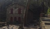 Tour Wandern Collioure - 66 COLLIOURE, de Pradells aux consolations  - Photo 10