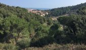 Tour Wandern Collioure - 66 COLLIOURE, de Pradells aux consolations  - Photo 2