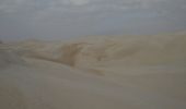 Randonnée Marche Unknown - Balade dans les Sugars Dunes - Photo 1