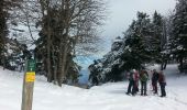 Randonnée Raquettes à neige Autrans-Méaudre en Vercors - La Gde Brèche La Buffe La Sure - Photo 8