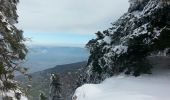 Percorso Racchette da neve Autrans-Méaudre en Vercors - La Gde Brèche La Buffe La Sure - Photo 7