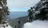 Tocht Sneeuwschoenen Autrans-Méaudre en Vercors - La Gde Brèche La Buffe La Sure - Photo 6