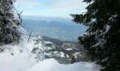 Tocht Sneeuwschoenen Autrans-Méaudre en Vercors - La Gde Brèche La Buffe La Sure - Photo 5