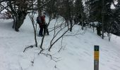 Randonnée Raquettes à neige Autrans-Méaudre en Vercors - La Gde Brèche La Buffe La Sure - Photo 3