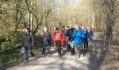 Trail Walking Les Mesnuls - rando du 17/03/2016 - Photo 6