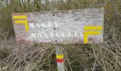 Tocht Stappen Montgueux - balisage 19 mars 2016 MACEY - Photo 6