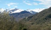 Randonnée Marche Louvie-Juzon - Soum de las Picarras Montagne du Rey - Photo 14