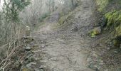 Trail Walking Louvie-Juzon - Soum de las Picarras Montagne du Rey - Photo 12
