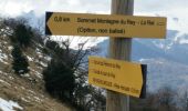 Trail Walking Louvie-Juzon - Soum de las Picarras Montagne du Rey - Photo 10