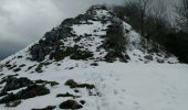 Trail Walking Louvie-Juzon - Soum de las Picarras Montagne du Rey - Photo 7
