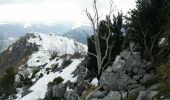 Trail Walking Louvie-Juzon - Soum de las Picarras Montagne du Rey - Photo 3