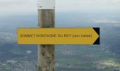 Randonnée Marche Louvie-Juzon - Soum de las Picarras Montagne du Rey - Photo 2