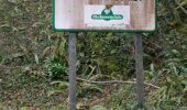 Trail Walking Louvie-Juzon - Soum de las Picarras Montagne du Rey - Photo 17