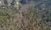 Excursión Senderismo Colombières-sur-Orb - Boucle de la croix de Douch (Caroux) - Photo 20