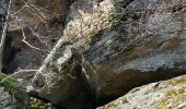 Randonnée Marche Colombières-sur-Orb - Boucle de la croix de Douch (Caroux) - Photo 19