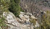 Excursión Senderismo Colombières-sur-Orb - Boucle de la croix de Douch (Caroux) - Photo 17