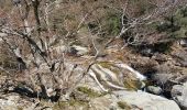 Tour Wandern Colombières-sur-Orb - Boucle de la croix de Douch (Caroux) - Photo 16