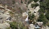 Tocht Stappen Colombières-sur-Orb - Boucle de la croix de Douch (Caroux) - Photo 14