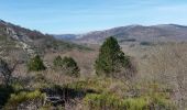 Trail Walking Colombières-sur-Orb - Boucle de la croix de Douch (Caroux) - Photo 11