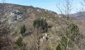 Tour Wandern Colombières-sur-Orb - Boucle de la croix de Douch (Caroux) - Photo 10