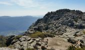 Excursión Senderismo Colombières-sur-Orb - Boucle de la croix de Douch (Caroux) - Photo 6