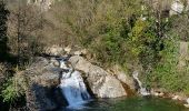 Tocht Stappen Colombières-sur-Orb - Boucle de la croix de Douch (Caroux) - Photo 2