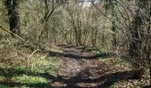 Trail Walking Clavier - Ocquier  boucle bucolique - Photo 13