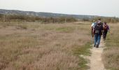 Trail Walking Marignane - l'étang de Bolmon et sa faune - Photo 6