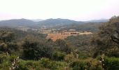 Excursión Senderismo La Londe-les-Maures - Gaoutabry par tamary - Photo 4