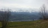 Percorso Marcia Lumbin - Le Plateau de Petites Roches depuis Montfort - Photo 1