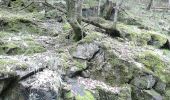 Trail Other activity Rouffach - boucle Wintzfelden ruines ciyvent - Photo 6