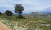 Tour Wandern Montaud - Montaud bois negre 8.9kms - Photo 1