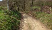 Trail Walking Pepinster - Wegnez Soiron - Photo 11