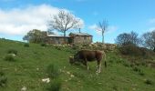 Percorso Marcia Collioure - sallfort - Photo 13