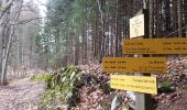 Excursión Senderismo Bernin - Chemin du facteur - Col du Baure - Manival - Photo 1