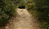 Trail Walking Aigues-Vives - croix de St Félix boucle pech de agel - Photo 1