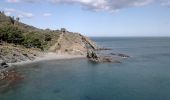 Tocht Stappen Port-Vendres - Port Vendres -Banuyls  - Photo 1