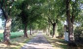 Trail Walking Tellin - Bure - Promenade des chapelles - Photo 6