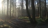 Trail Walking Hoeilaart - Soignes-Hulpe South - Photo 13
