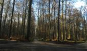 Trail Walking Hoeilaart - Soignes-Hulpe South - Photo 12