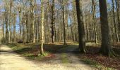Trail Walking Hoeilaart - Soignes-Hulpe South - Photo 3