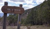 Tour Wandern Savournon - Cime du Revuaire-Grotte de Jubeo. - Photo 8