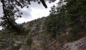 Excursión Senderismo Savournon - Cime du Revuaire-Grotte de Jubeo. - Photo 6