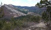 Tocht Stappen Savournon - Cime du Revuaire-Grotte de Jubeo. - Photo 5