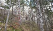 Randonnée Marche Savournon - Cime du Revuaire-Grotte de Jubeo. - Photo 3