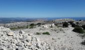 Tocht Stappen Marseille - tour du mont Puget départ du col de la gineste - Photo 3