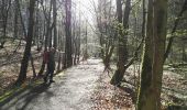 Trail Walking Beersel - Bois de Halle - Photo 5