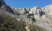 Trail Walking la Torre de Fontaubella - moka de coldejou - Photo 19