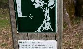 Trail Walking Savonnières-en-Perthois - 17/17a Vallées de l'Ornain et de la Saulx - Photo 3